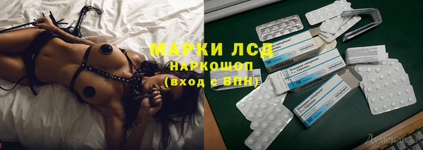 ГАЛЛЮЦИНОГЕННЫЕ ГРИБЫ Арсеньев