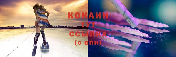 ГАЛЛЮЦИНОГЕННЫЕ ГРИБЫ Арсеньев