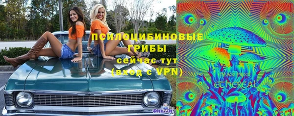 крисы Баксан