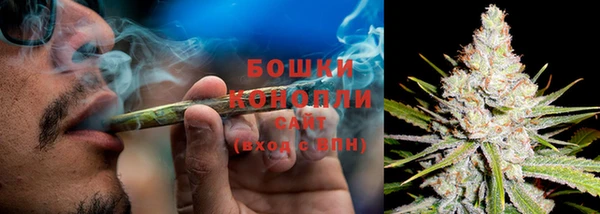 ГАЛЛЮЦИНОГЕННЫЕ ГРИБЫ Арсеньев