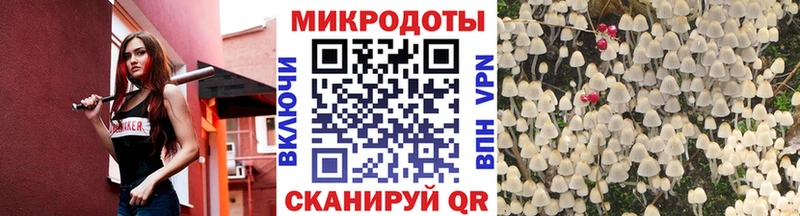 Галлюциногенные грибы MAGIC MUSHROOMS darknet формула Гулькевичи